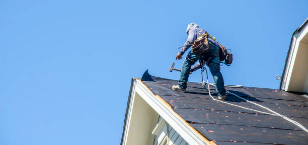 Best Gutter Installation and Roofing  in Cowan, TN